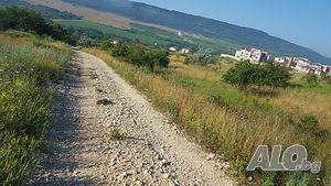 image_9
