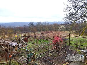 image_10