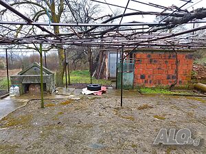 image_12