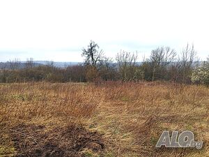 image_14
