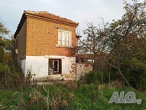 image_10