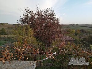 image_14