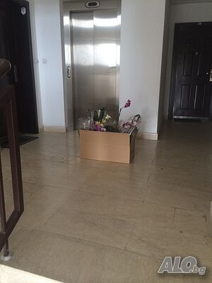 image_10