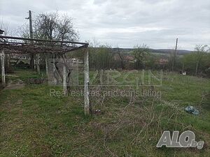 image_8