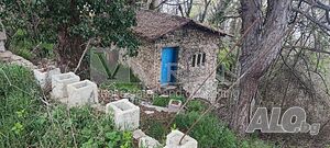 40 кв.м РЗП 1460 кв.м двор