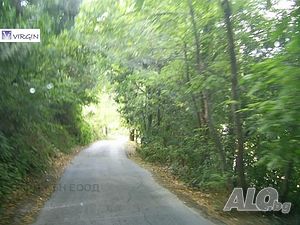 image_3