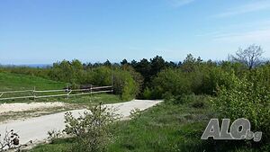 image_7