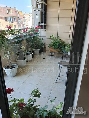 image_7
