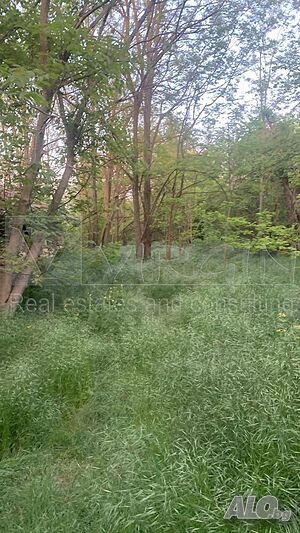 image_7
