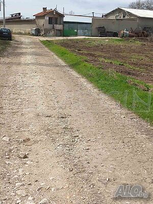 image_5