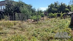 image_14