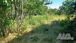image_15