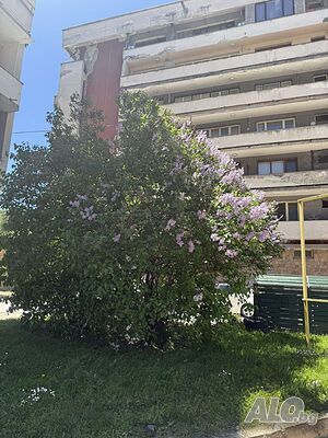 Гр. Чепеларе - Монолит, 131 кв. м