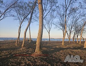 image_7