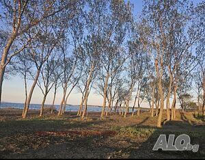 image_8