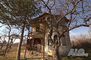 image_3