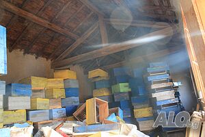 image_3
