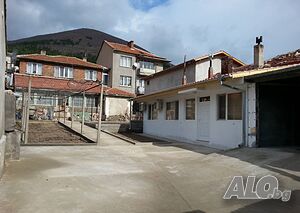 image_6