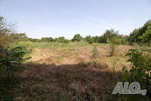 image_11
