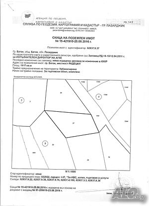 image_6