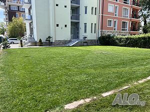 image_8
