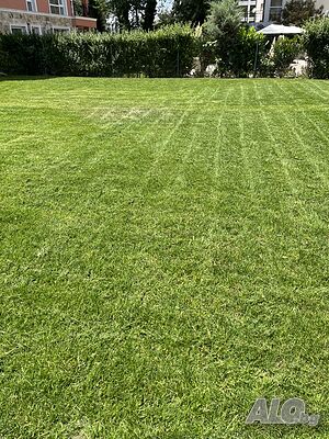 image_10