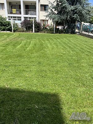image_11