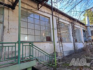 image_7