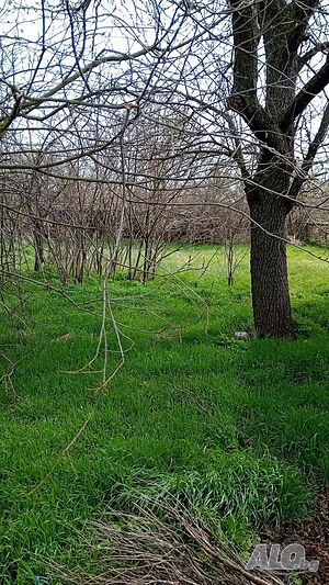 image_7