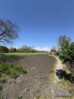 image_6