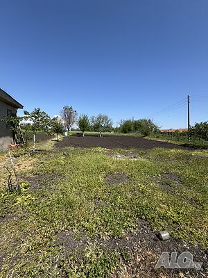 image_10