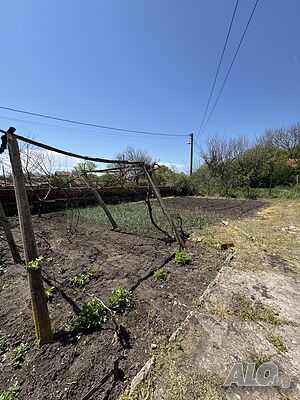 image_11