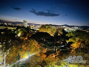 image_6