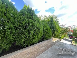 image_15