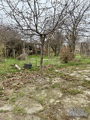 image_9