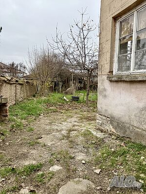 image_11