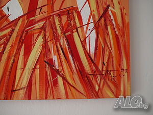 image_5