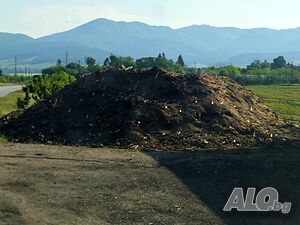 Безплатни дървесни трици от дъб и бук