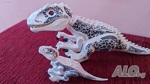 image_11