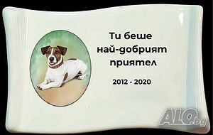 Порцеланови снимки за животни и хора