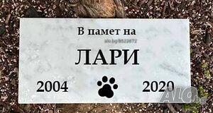 image_15