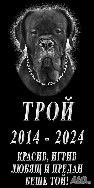 Погребение на домашни любимци