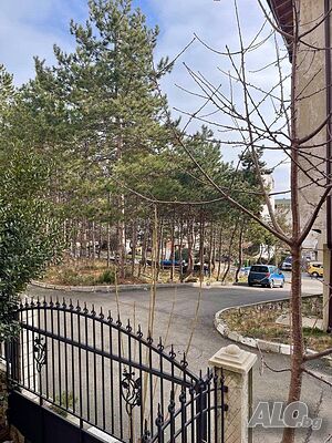 image_5