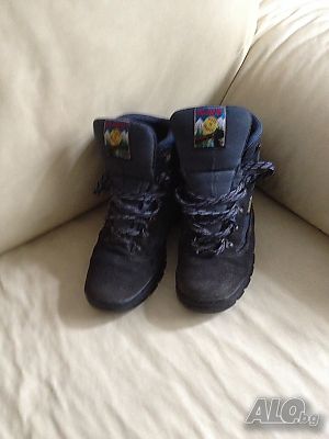 image_8