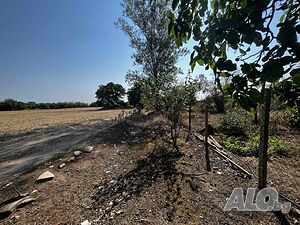 image_7