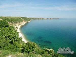 image_4