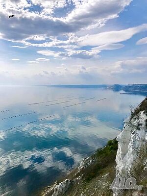 image_3
