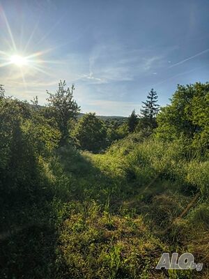 парцел в Ново село