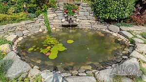 image_21