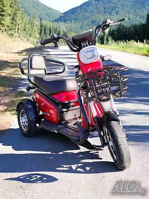 Двуместна електрическа триколка MaxMotors Pudding 1200W